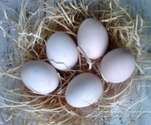 Beljenje jaja